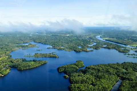Aerial view of the Amazon Rainforest, Amazonas, Brazil