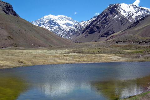 Southern Andean steppe, Aconcagua mountain, Argentina