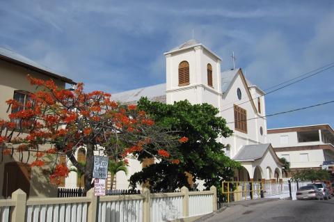 Colorful tree and a white church in Belize City