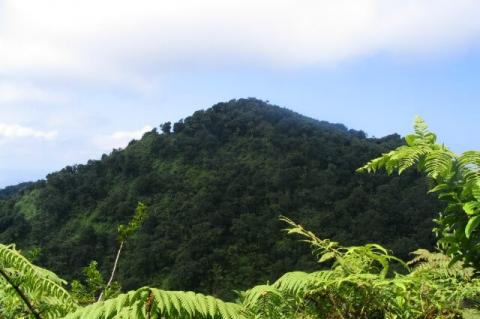 Cerro Iglesias, Isla del Coco, Costa Rica