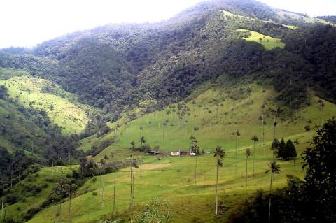 Panorama of the Cocora Valley, Colombia