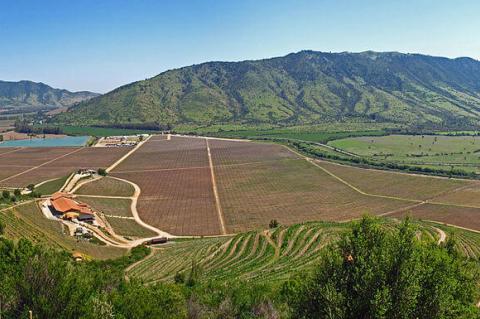 Panoramic view of the Santa Cruz Vineyard in the Colchagua Valley of Chile, Central Valley
