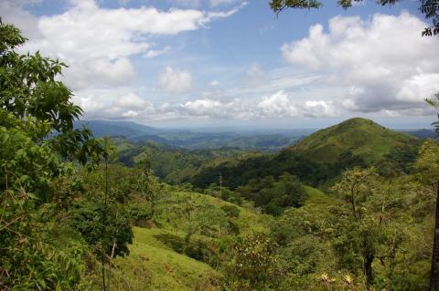 Costa Rica forest panorama