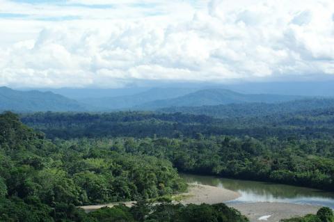 Ecuadorian Amazon rain forest, looking toward the Andes