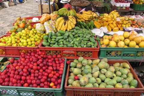 Farmer's Market in Colombia Many exotic fruits in which Colombia produces.  Among them are: ciruelas, feijoas, and mandarinas.