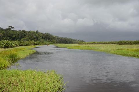 The Kaw River and the Kaw Swamp in French Guiana