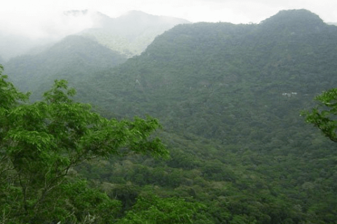 Panorama of El Imposible National Park, El Salvador