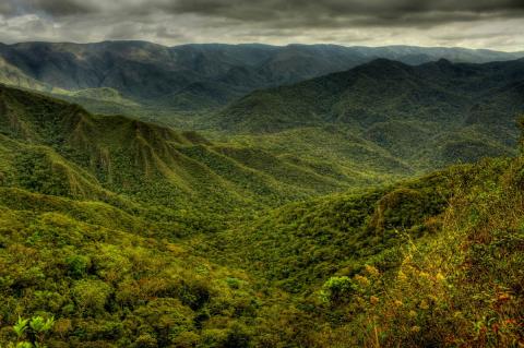Mata Atlântica - Serra da Gandarela National Park - Atlantic forest (Brazil)