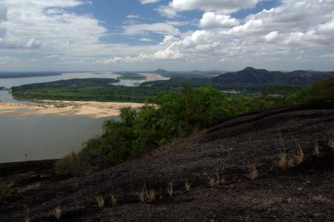 Landscape of the Orinoco River including Magdalena Island, Venezuela