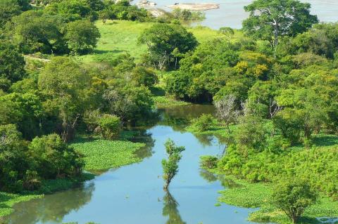 Orinoco River, Amazonas State, Venezuela