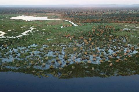 Pantanal landscape, Itiquira, Mato Grosso, Brazil
