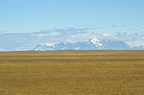 Patagonia grassland with the Andes Mountains in the background, Argentina