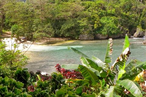 Great Morass, Portland, Jamaica
