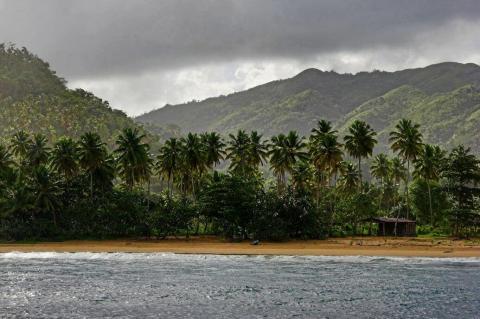Rain forest landscape, Dominican Republic, Island of Hispaniola