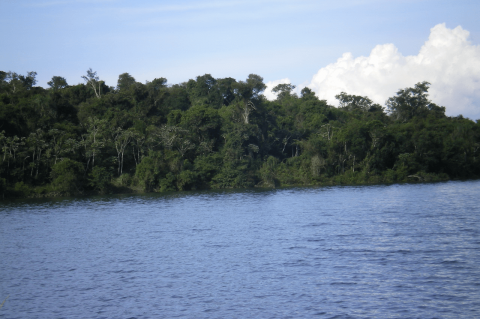 Itabo Biological Reserve (Paraguay)