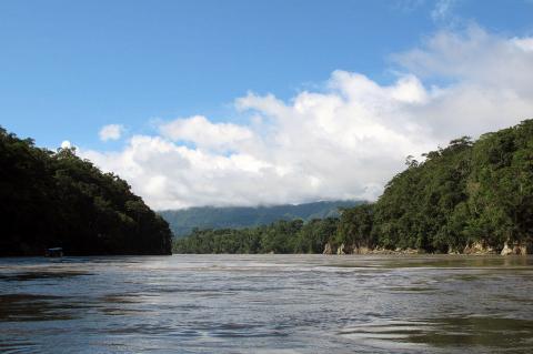 Beni River, Amazon rainforest, Bolivia