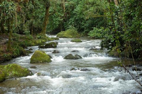Rio Savegre, San José Province, Costa Rica