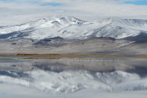 Salar del Huasco, Región de Tarapacá, Chile