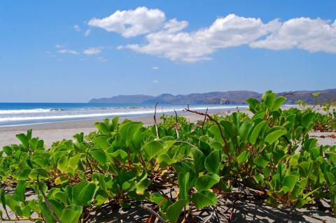Beach at Santa Rosa National Park — Guanacaste Province, northwestern Costa Rica
