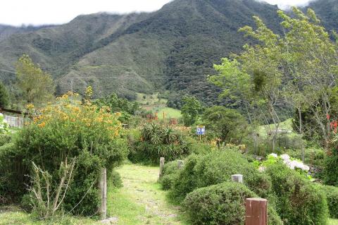 Landscape of the Sierra de La Culata, Venezuela