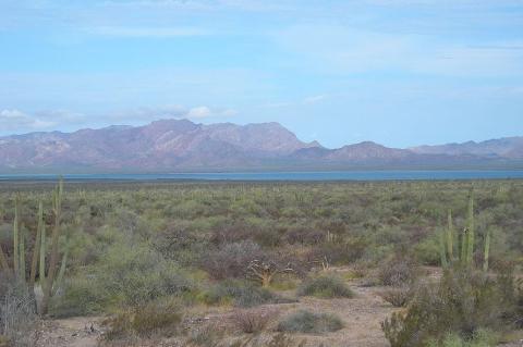 View of Tiburon Island across the Infiernillo Channel, Sonora, Mexico