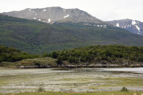Tierra del Fuego landscape