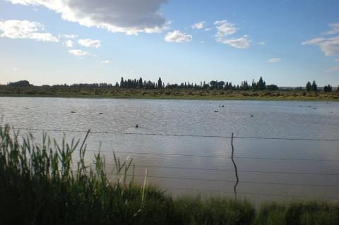 View of the Lower Valley of the Chubut River, near Gaiman, Argentina
