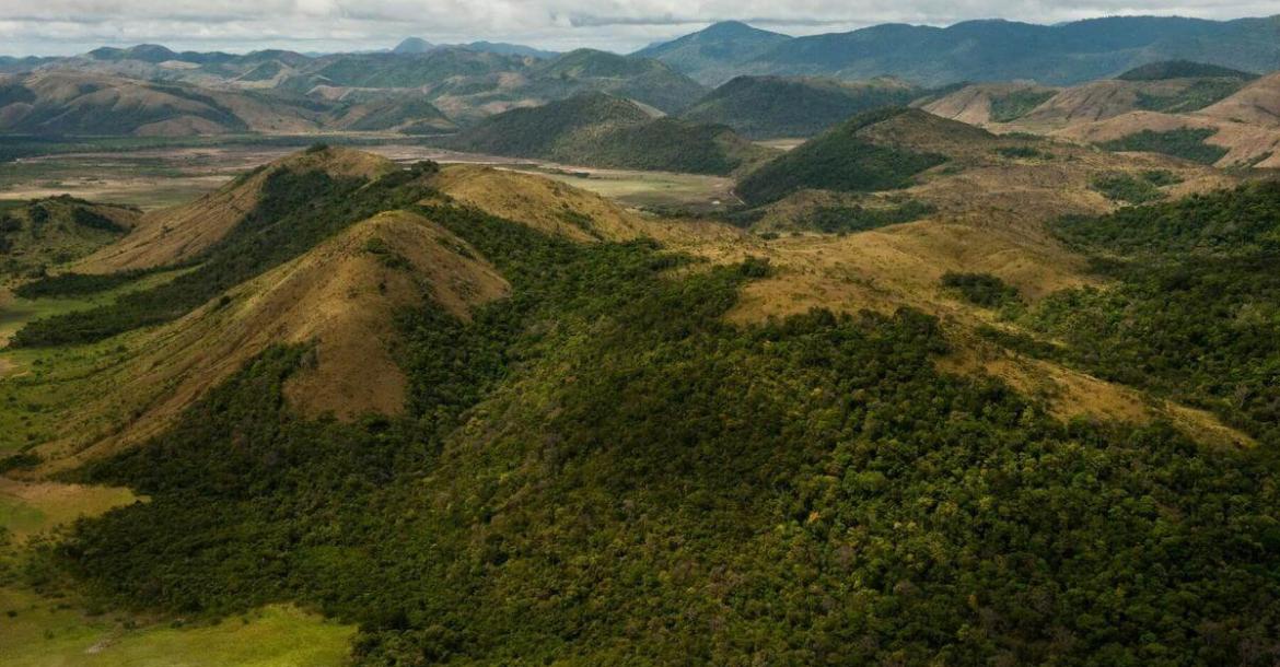 Kanuka Mountains, Guyana
