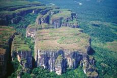 Aerial view of a tepui within Chiribiquete National Park, Colombia