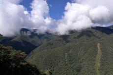 Cloudforest, Manu National Park, Peru