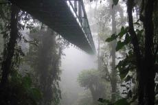Suspension bridge in Puerto Viejo de Sarapiqui, Costa Rica