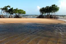 A beach on Marajó Island, Pará, Brazil
