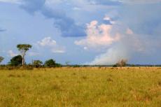 Los llanos, Puerto Gaitan, Colombia