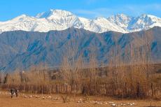 Luján de Cuyo, Mendoza, Argentina 