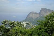 Panorama of Tijuca National Park, Rio de Janeiro, Brazil