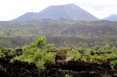 Paricutin volcano, surrounded by lava fields partially colonized by vegetation, Uruapan, Michoacán, Mexico 