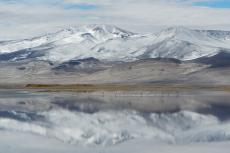 Salar del Huasco, Región de Tarapacá, Chile