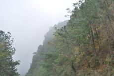 The Sierra Norte de Puebla, with Sierra Madre Oriental pine-oak forests vegetation