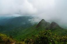 Near the summit of El Yunque, El Yunque National Forest, Puerto Rico