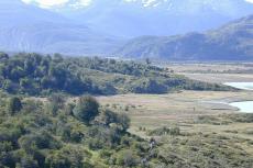 Yendegaia Valley, Tierra del Fuego, Chile