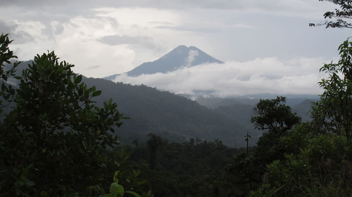 Sumaco Napo-Galeras: Ecuador's Ecological Treasure | LAC Geo