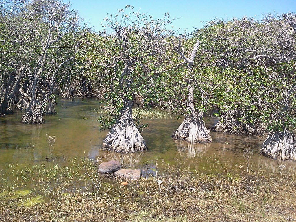 Grand Cul-de-Sac Marin Nature Reserve: Guadeloupe | LAC Geo