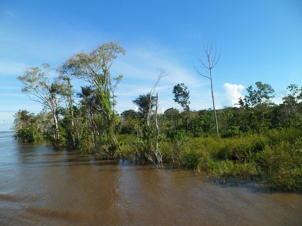 Varzea Nova Landscape