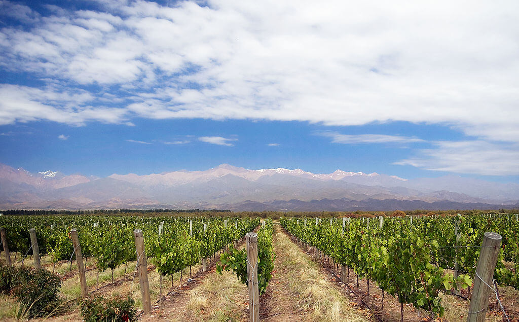 Argentina's Cuyo Region: History, Wine, & Natural Wonders